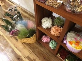 アートセラピーでも意味のある「花」に癒される