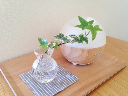 ボタニカルタイムのアロマセラピー活用法（芳香浴法）